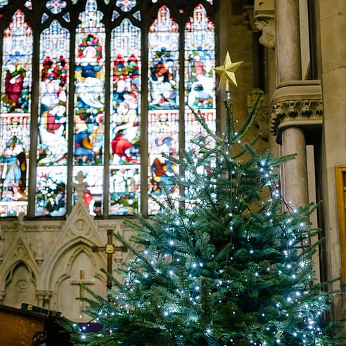 Christmas Tree Festival at St Mark's ChurchChristmas Tree Festival at St Mark's Church